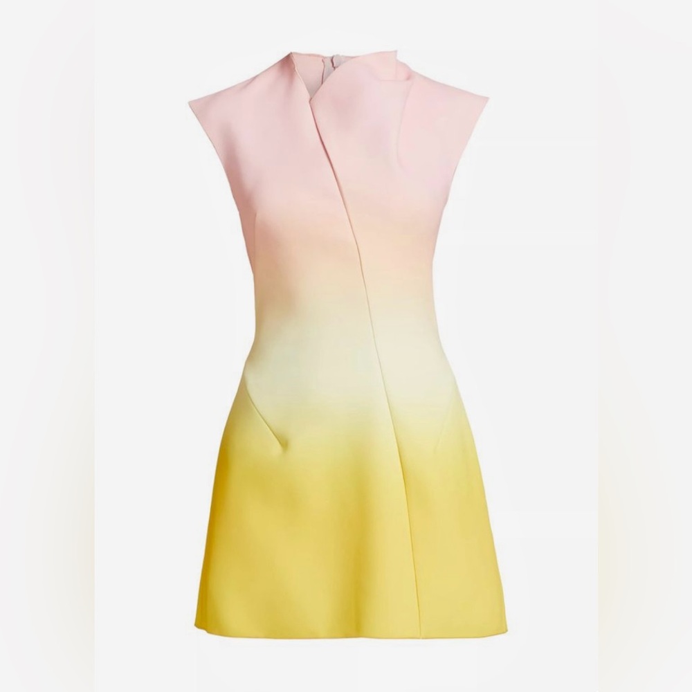Acler warfield Ombre mini Dress